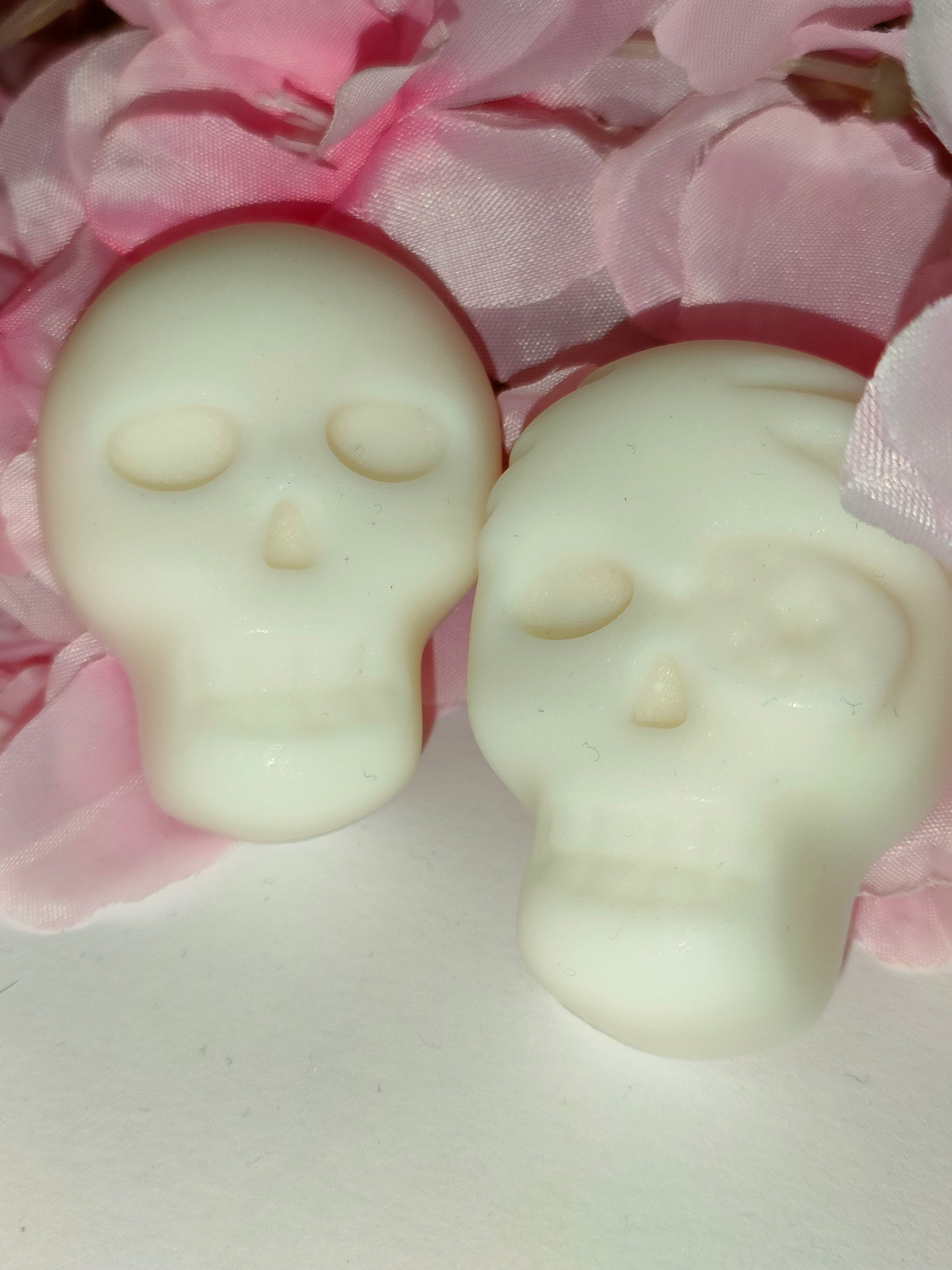 Duo Skulls